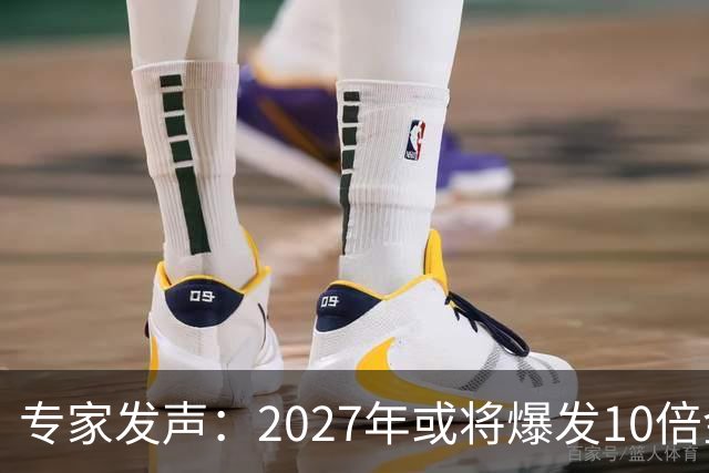 专家发声：2027年或将爆发10倍金融危机 人们抛资产是自救还是踩
