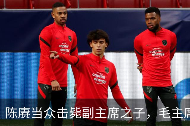 陈赓当众击毙副主席之子，毛主席一言不发，就送了一箱东西